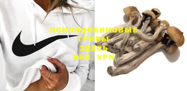 трава Зеленодольск
