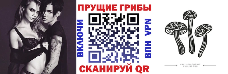 где найти наркотики  Армавир  Галлюциногенные грибы прущие грибы 