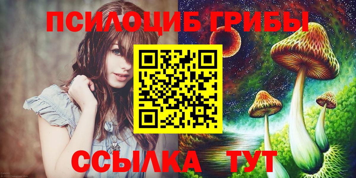 Армавир  наркотики  Вход с VPN  Галлюциногенные грибы Psilocybe 