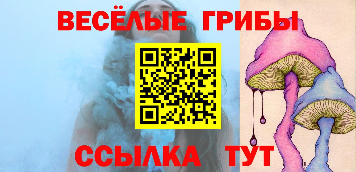 Псилоцибиновые грибы GOLDEN TEACHER Армавир