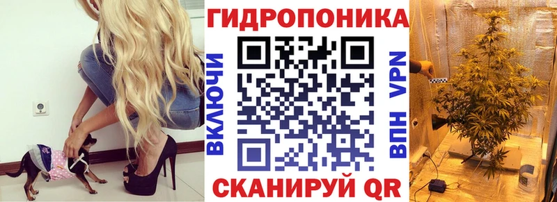 купить  сайты  Армавир  Канабис сатива 
